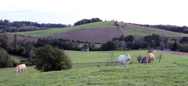 Colline du Castillou